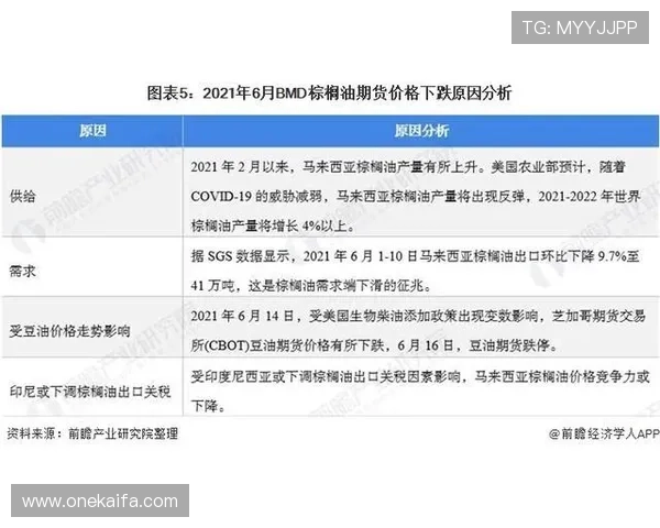 了解凯发集团会员注册步骤及相关费用政策全方位指南